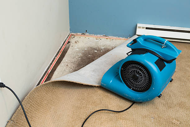 Best Water damage restoration near me  in Prattville, AL